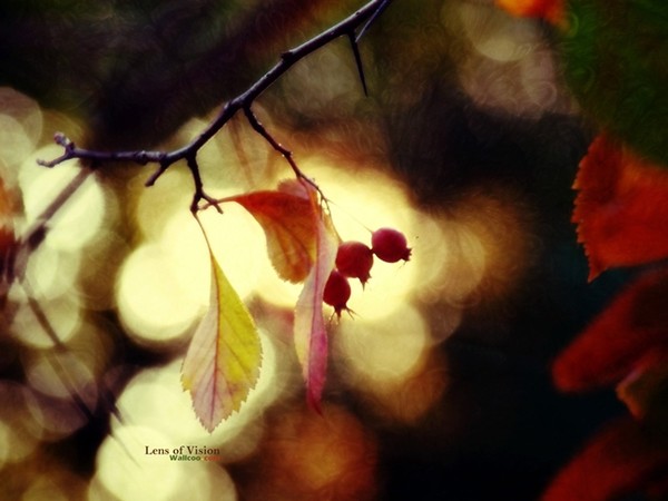 5 ly do pha vo quy tac trong nhiep anh 3.jpg