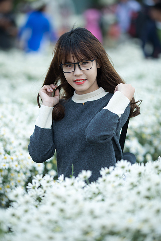 Cúc Hoạ mi 1 - 2017 - Chụp bằng Canon 6D và 135F2L
