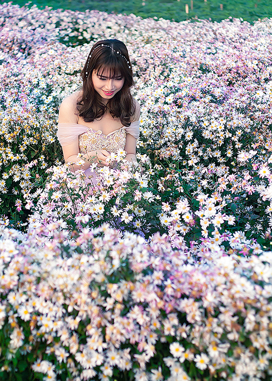Lắng nghe xuân về - Chụp tại Cherry Land
Chụp bằng 5D - 50 1.8 mark II