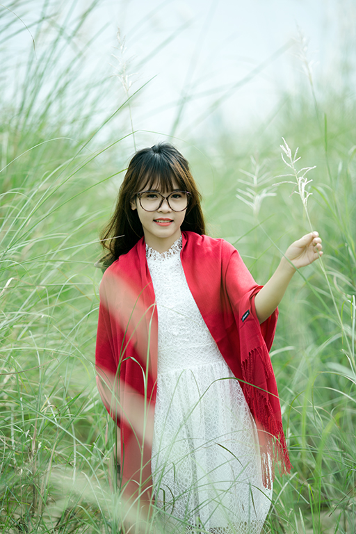 Hoa cỏ mùa xuân (2017) - Chụp tại Bãi Đá - Hà Nội